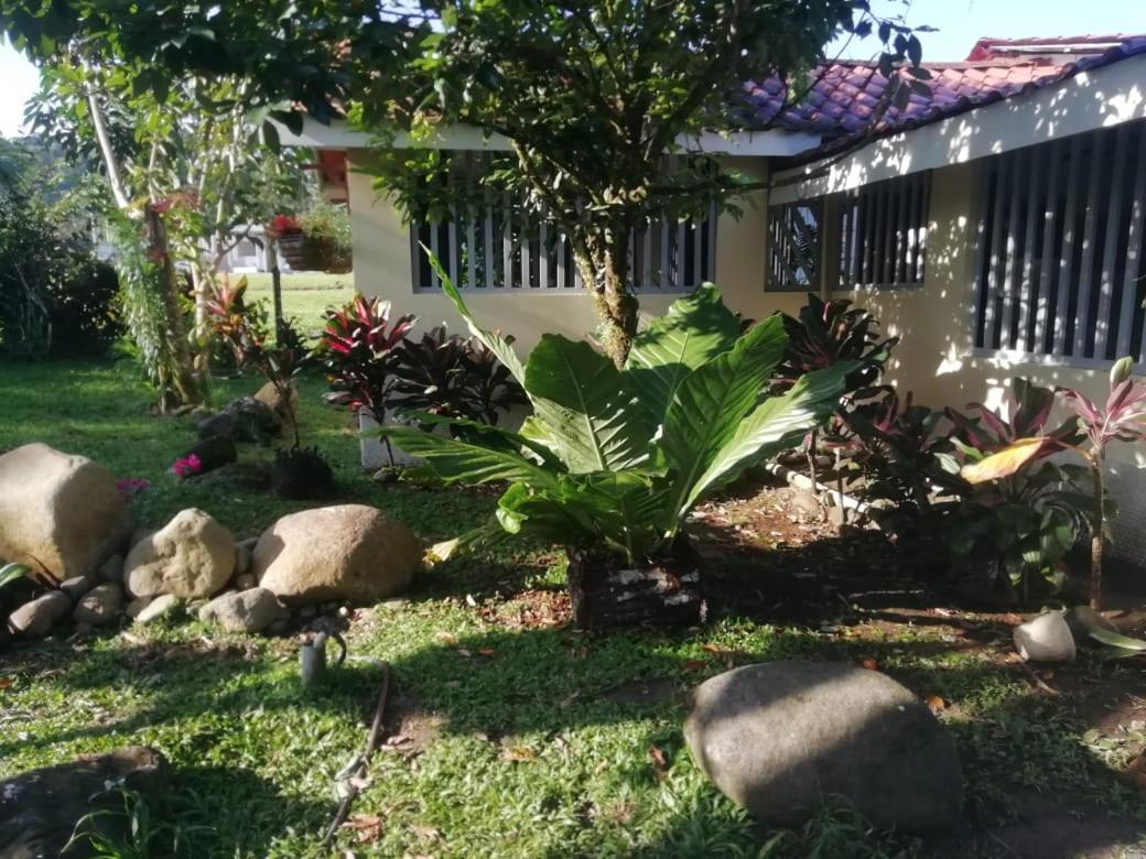 Casa Sophia 3 Listings Apartment 1 Or Apartment 2 Separately Or Apt 1 And 2 Together All With Fo Internet Guápiles Exteriör bild