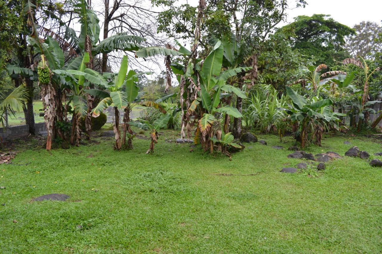 Casa Sophia 3 Listings Apartment 1 Or Apartment 2 Separately Or Apt 1 And 2 Together All With Fo Internet Guápiles Exteriör bild